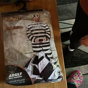 Adult costume